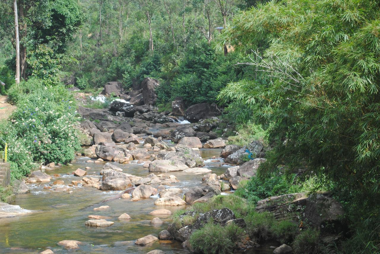 نالاثانيا Mountain Villa Adam'S Peak المظهر الخارجي الصورة