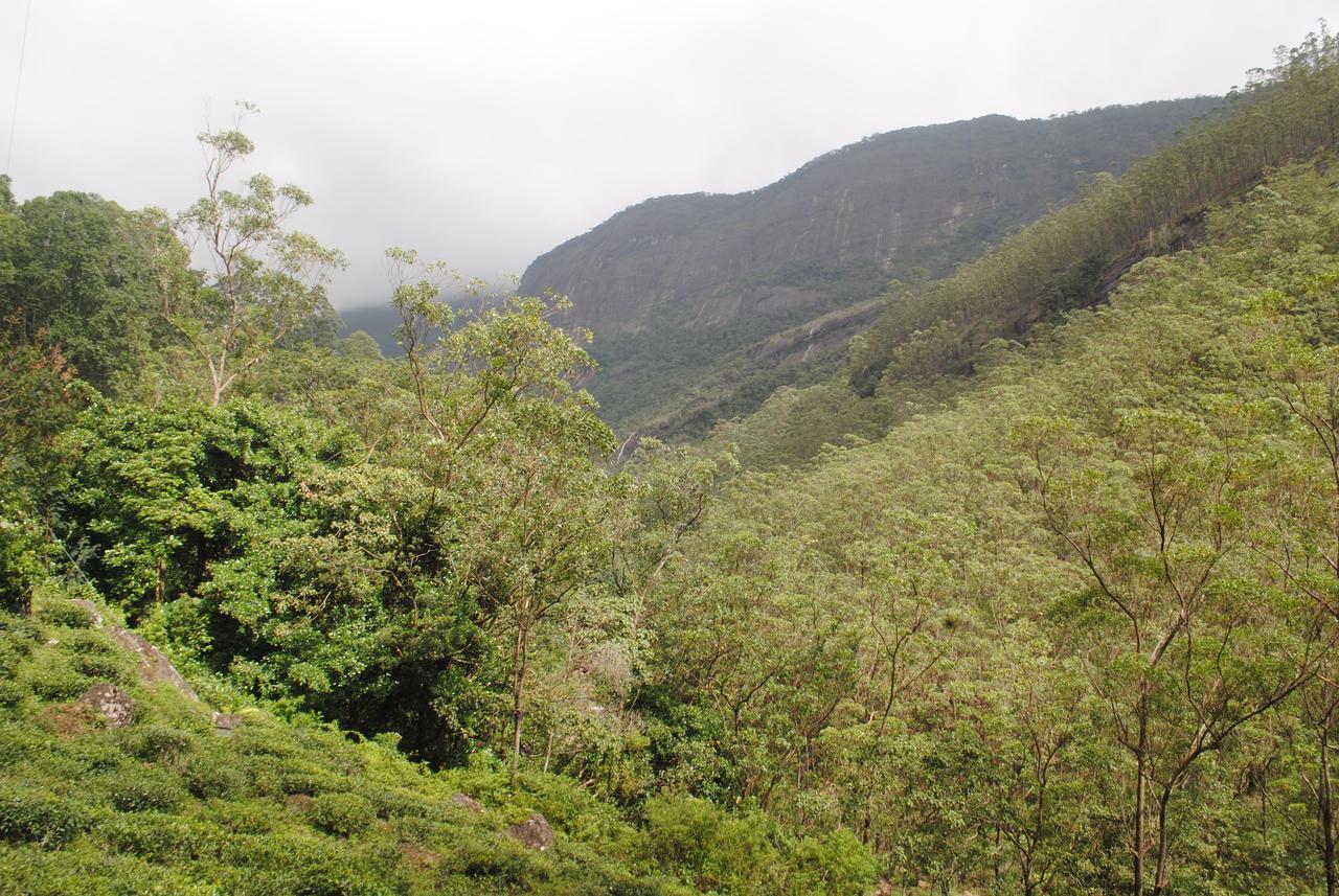 نالاثانيا Mountain Villa Adam'S Peak المظهر الخارجي الصورة