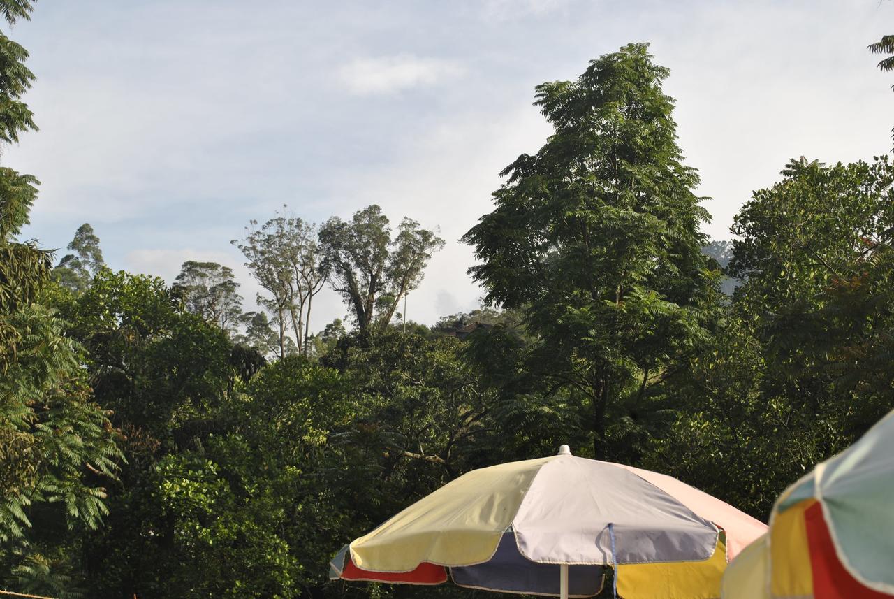 نالاثانيا Mountain Villa Adam'S Peak المظهر الخارجي الصورة